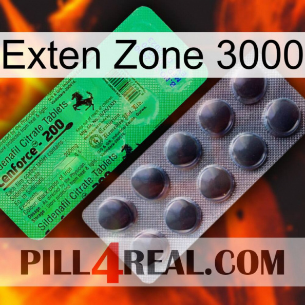 Exten Zone 3000 new04.jpg